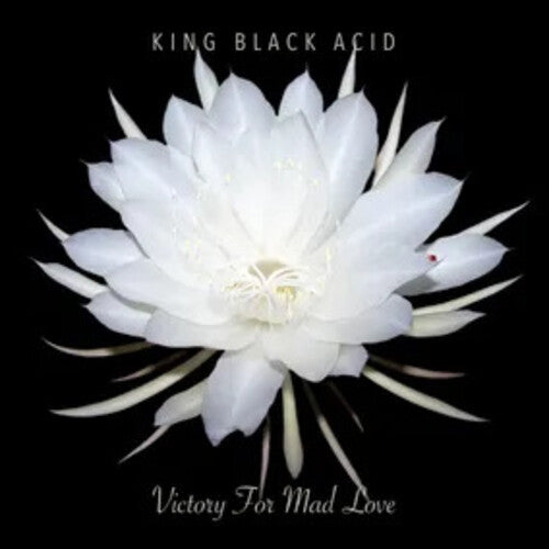 King Black Acid - Victory For Mad Love - RSD LP