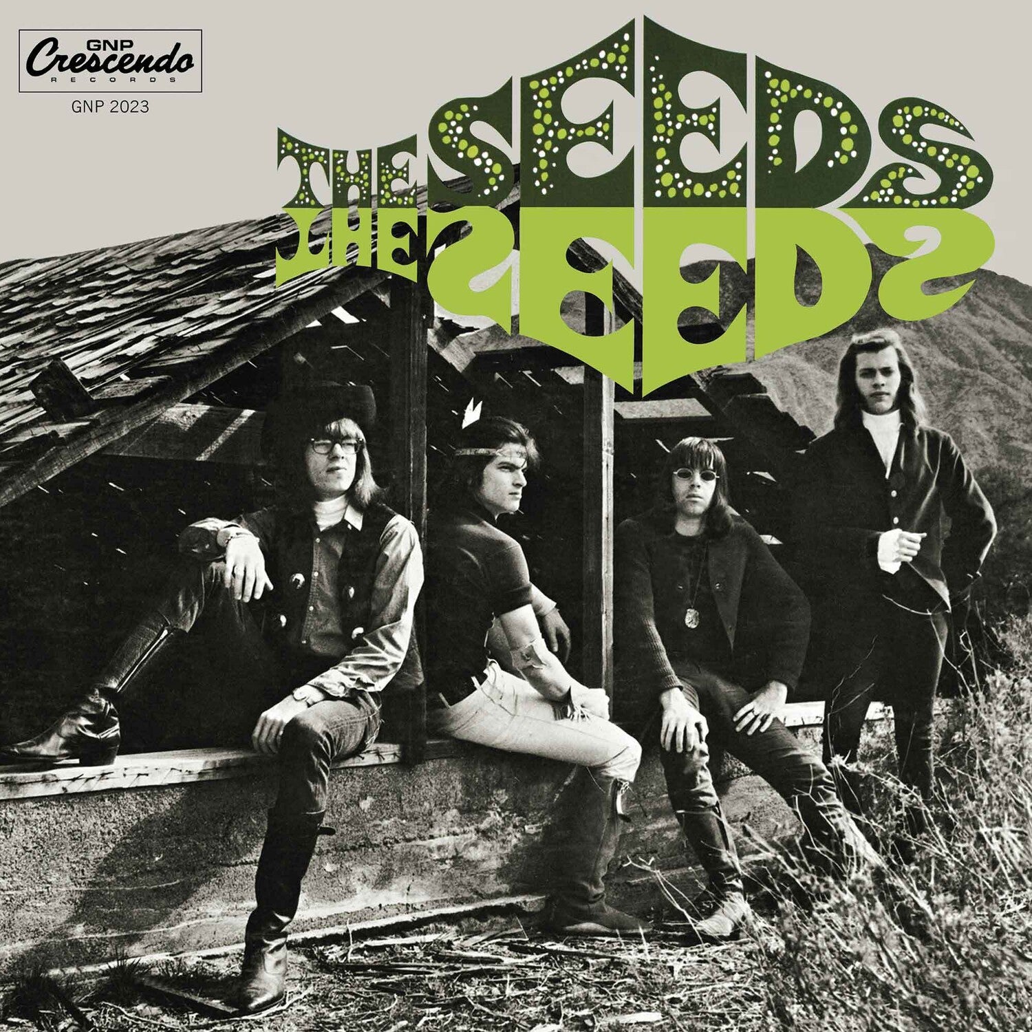 The Seeds - The Seeds LP ガレージパンク　US盤 Pre Order] The Seeds - The Seeds - LP * – The 'In' Groove