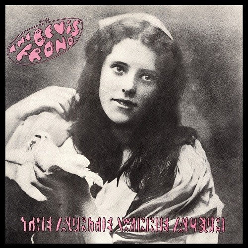 The Bevis Frond - Auntie Winnie Album - LP