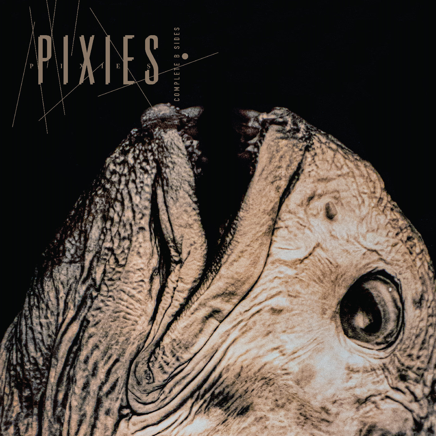 [Pre Order] Pixies - Complete B Sides: 1988-97 - Indie LP *