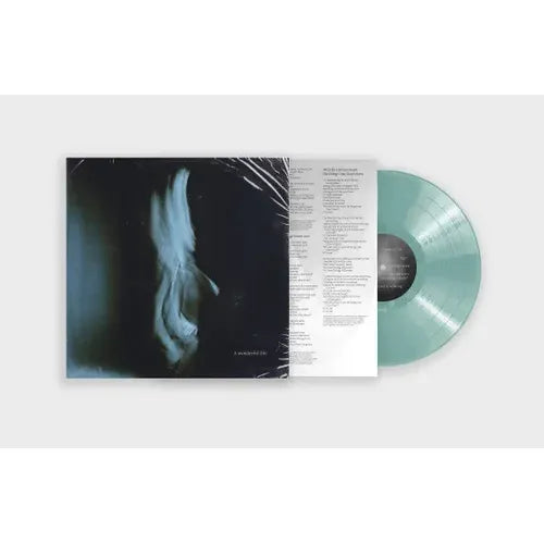 Tom Odell - A Wonderful Life - Indie LP