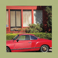 The Reds, Pinks and Purples - The Town That Cursed Your Name - LP