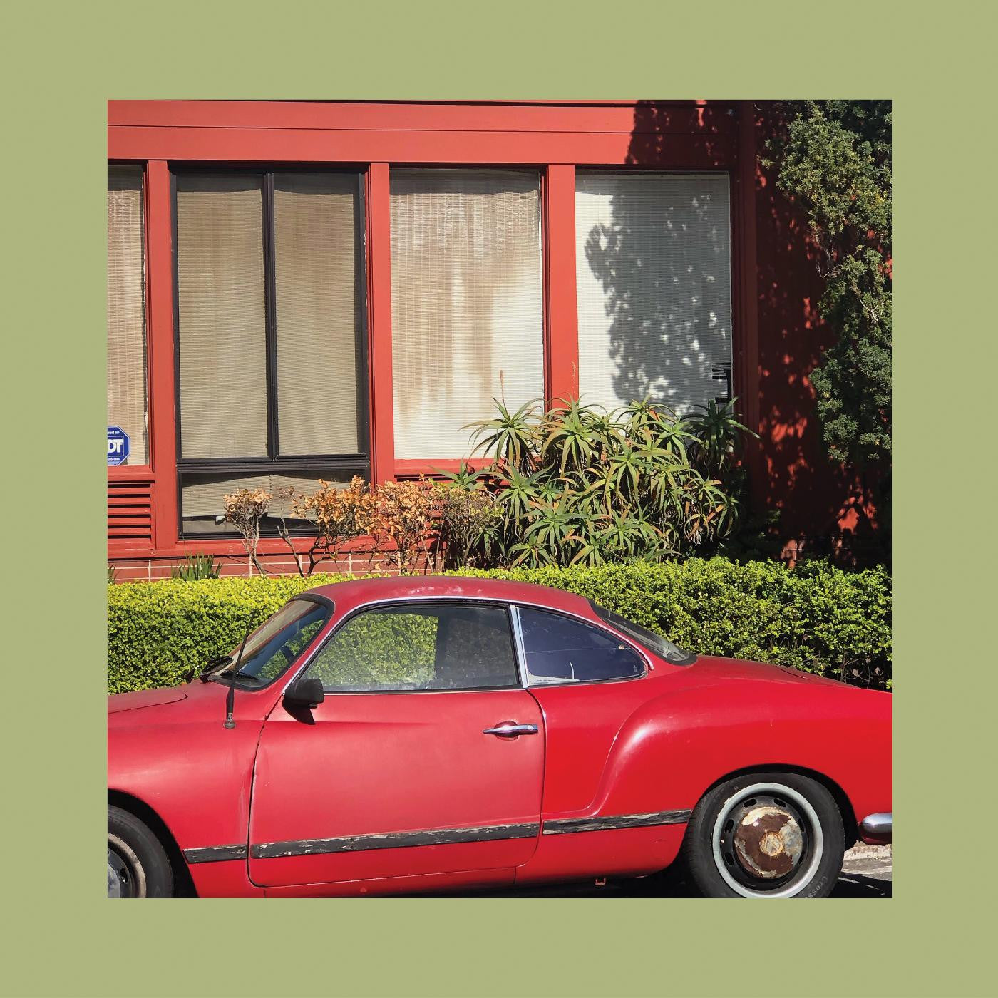 The Reds, Pinks and Purples - The Town That Cursed Your Name - LP