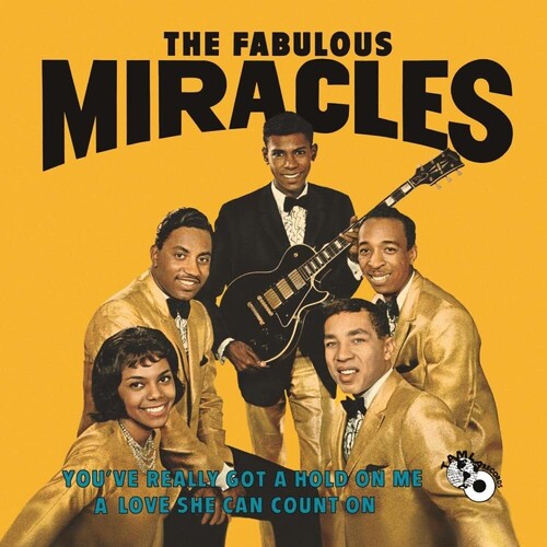 The Miracles - You've Really Got A Hold On Me - LP