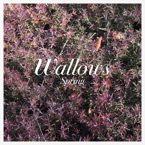 Wallows - Spring - 12" EP
