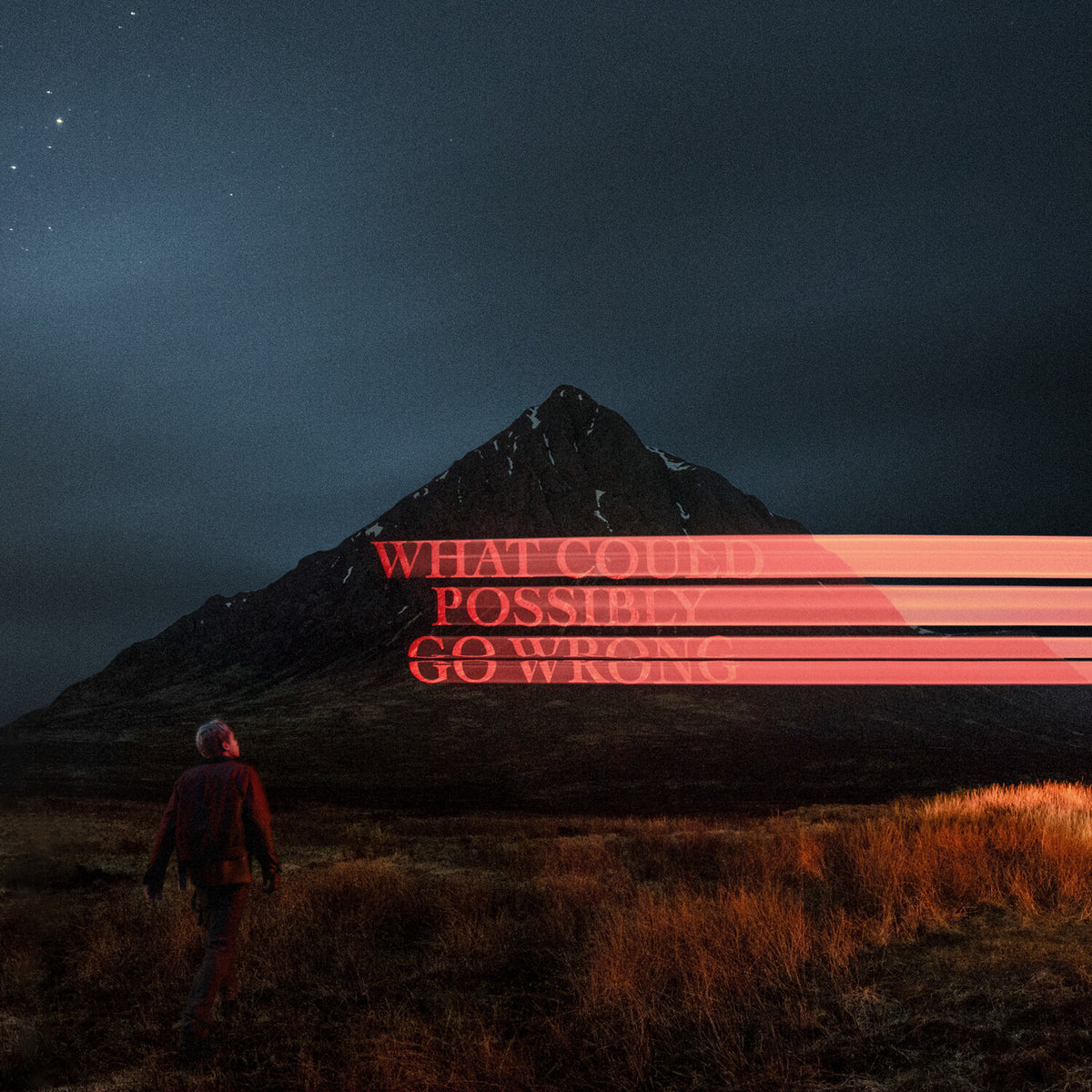 Dominic Fike - What Could Possibly Go Wrong - LP