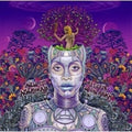 Erykah Badu - New Amerykah Part Two - LP