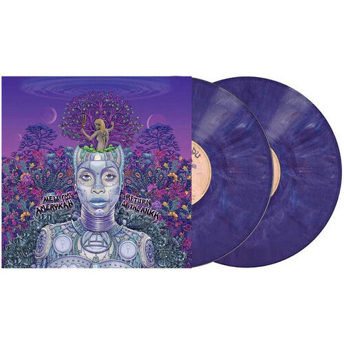 Erykah Badu - New Amerykah Part Two - LP