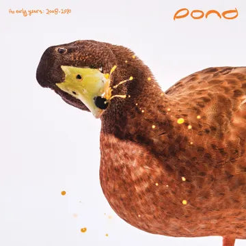 Pond - The Early Years: 2008-2010 - RSD LP