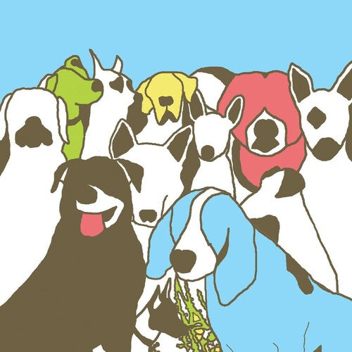 The Format - Dog Problems - LP