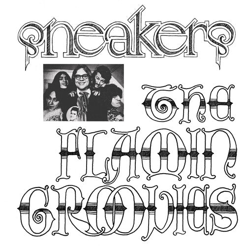 The Flamin' Groovies - Zapatillas - LP