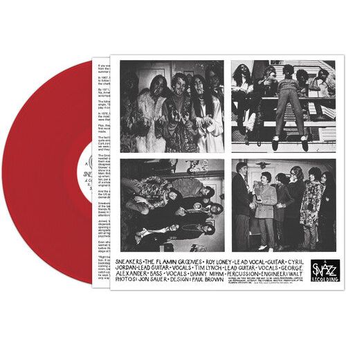 The Flamin' Groovies - Zapatillas - LP