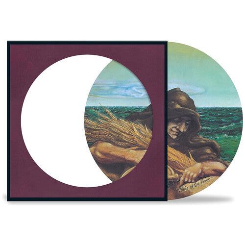 The Grateful Dead - Wake Of The Flood - Picture Disc LP