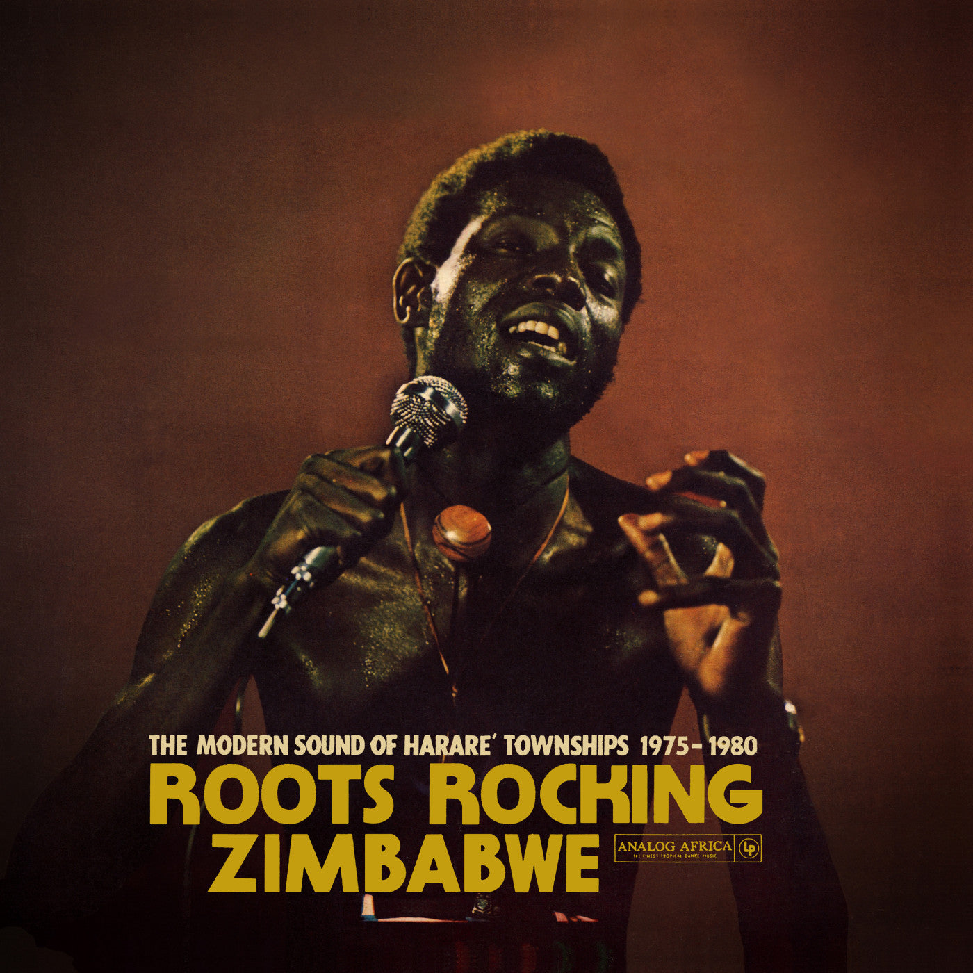Various Artists - Roots Rocking Zimbabwe: The Modern Sound of Harare Townships 1975-1980 - LP