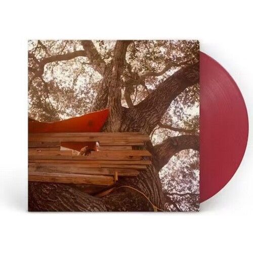 The Backseat Lovers - Waiting To Spill (Anniversary Edition) - LP