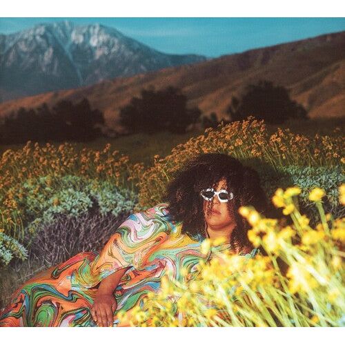 Brittany Howard - What Now - LP