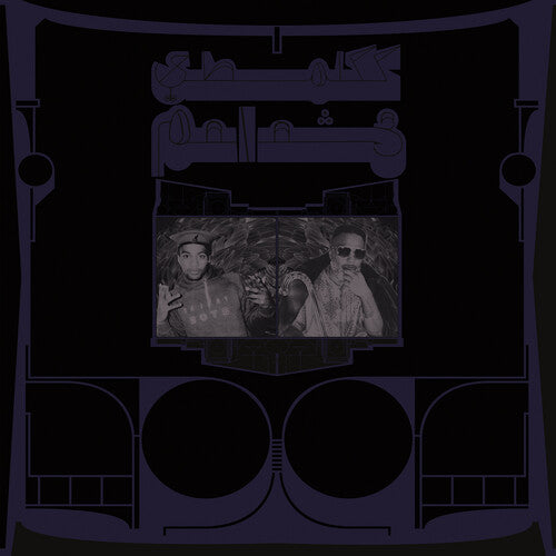 Shabazz Palaces - Exotic Birds of Prey - LP