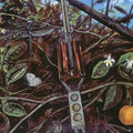 Dragonfly - Dragonfly - LP