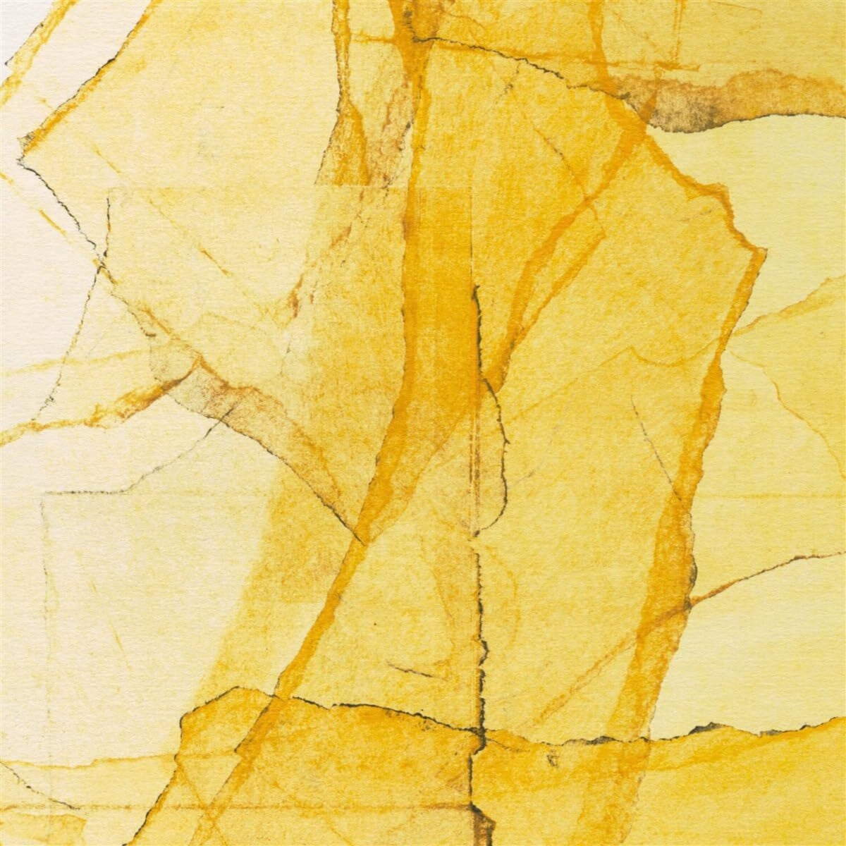 Wadada Leo Smith - Central Park's Mosaics album cover