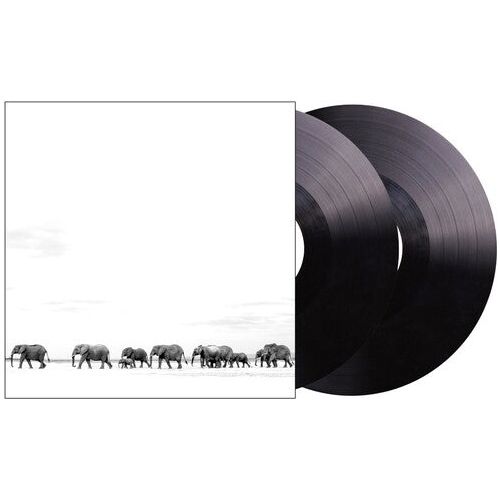 Dave Matthews Band - Where Are You Going: The Singles - LP