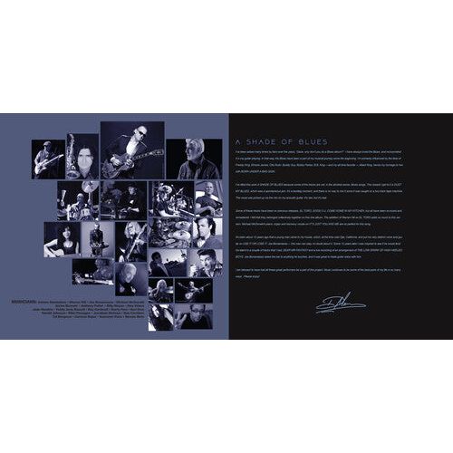 Dave Mason - A Shade of Blues - LP