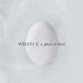 Wilco - A Ghost Is Born - LP