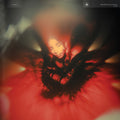 Spellling - Portrait of My Heart - Green LP