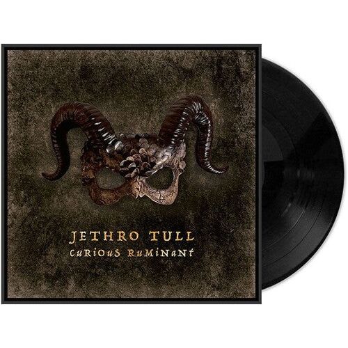 Jethro Tull - Curious Ruminant - LP