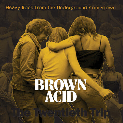 Various Artists - Brown Acid: The Twentieth Trip - LP