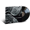 The Sundays - Reading, Writing And Arithmetic - LP