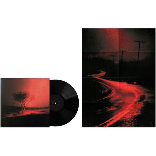 【新品LP】Joji Piss In The Wind LP Piss In The Wind (Indie Exclusives)＜Prism Colored Vinyl＞/Joji