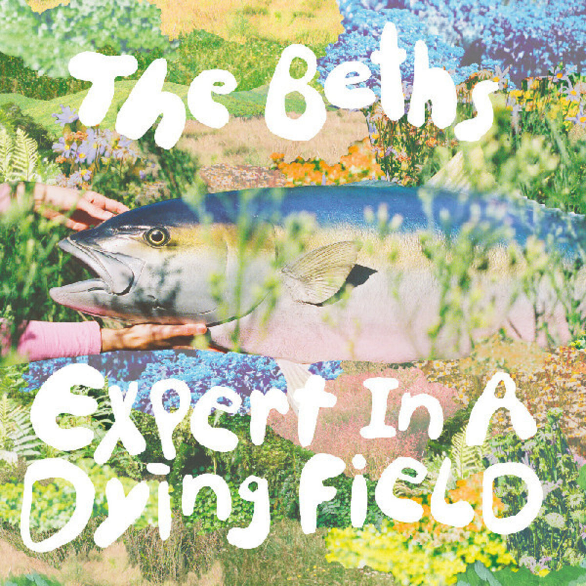The Beths - Expert in a Dying Field - Blue Eco-Mix LP