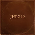 Jungle - Sunshine album cover