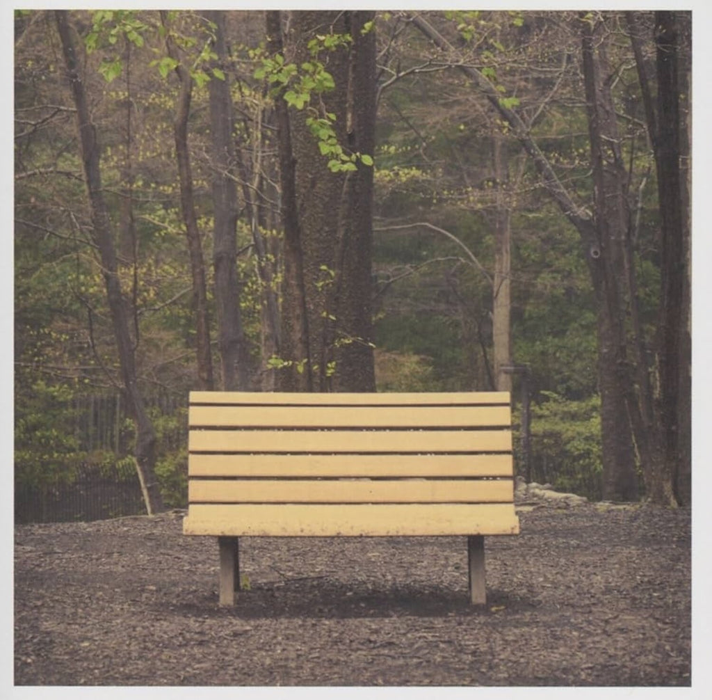 Streetlight Manifesto - The Hands That Thieve red smoke vinyl