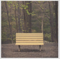 Streetlight Manifesto - The Hands That Thieve - LP