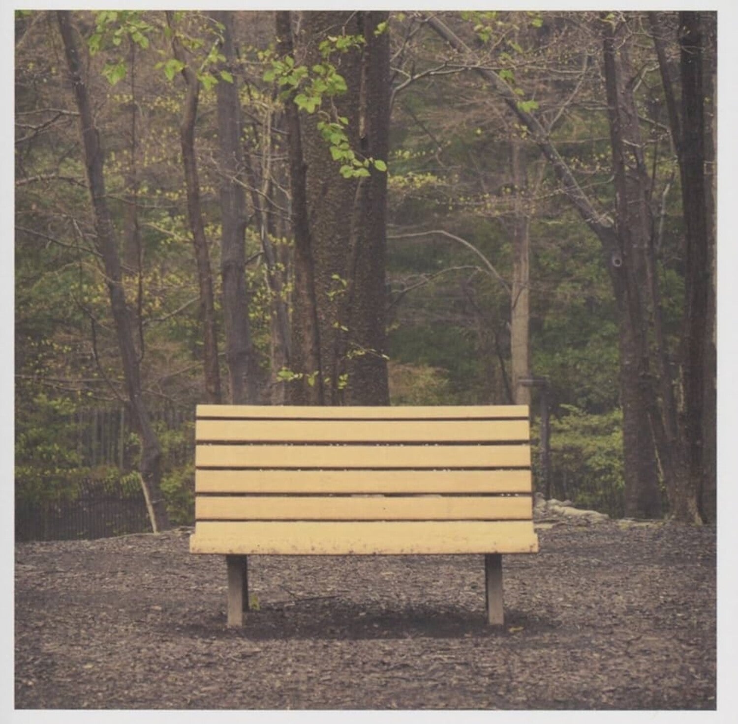 Streetlight Manifesto - The Hands That Thieve - LP