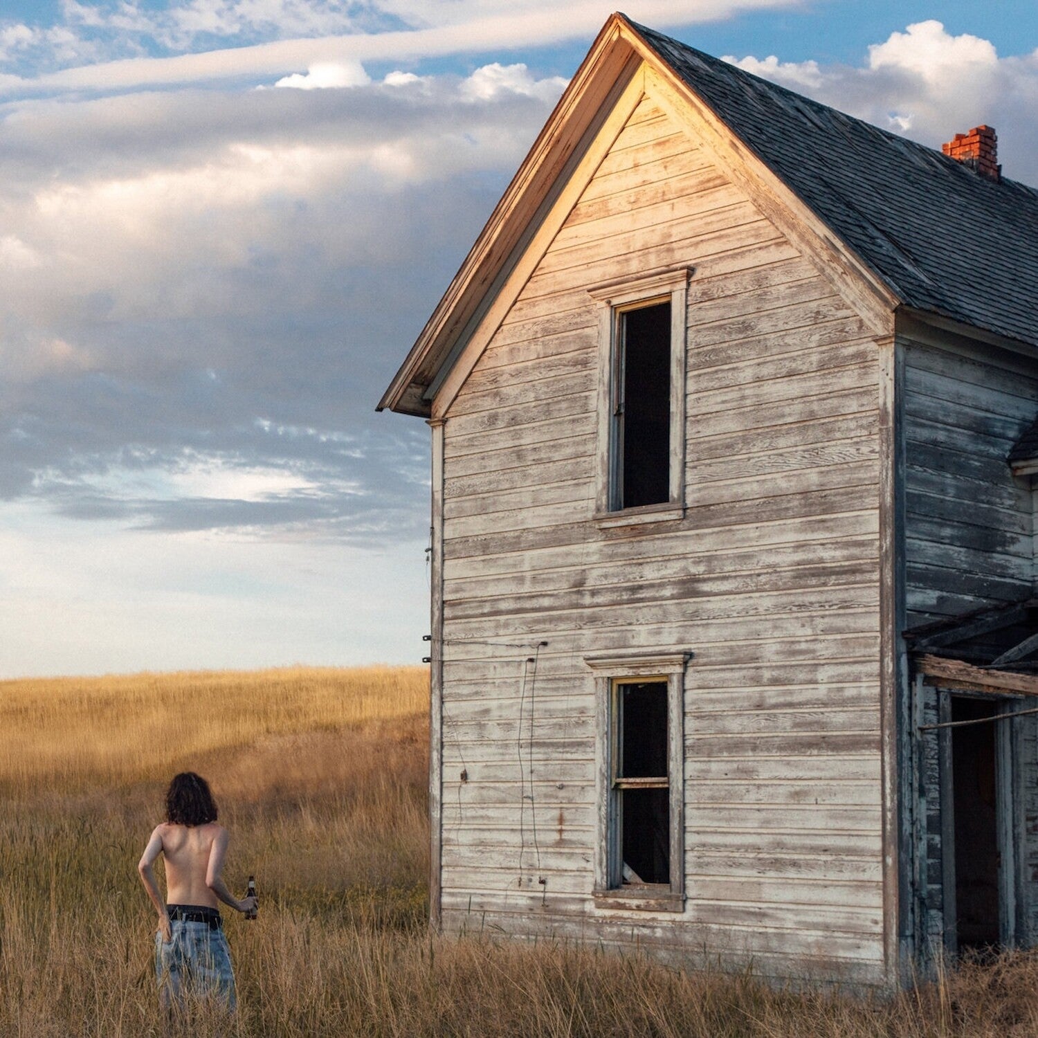 Jane Remover - Census Designated LP cover