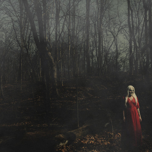 156/Silence - From A Distance - Orange & Red LP cover