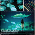 Bring Me The Horizon - Count Your Blessings - LP vinyl album cover