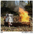 PUP - The Dream Is Over 10th Anniversary LP