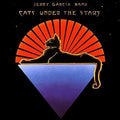 Jerry Garcia Band - Cats Under The Stars album cover