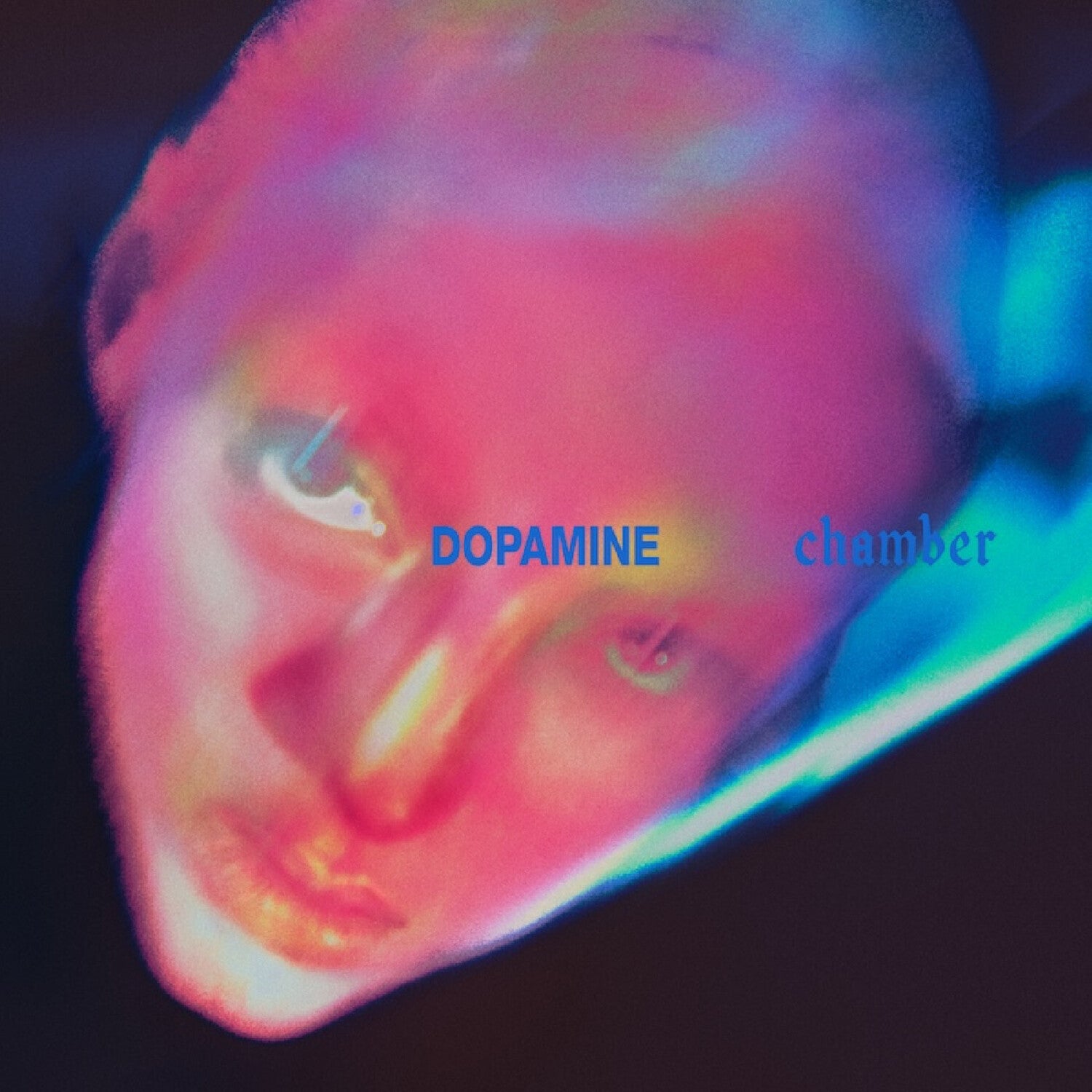 Fontaines D.C. - Dopamine Chamber album cover