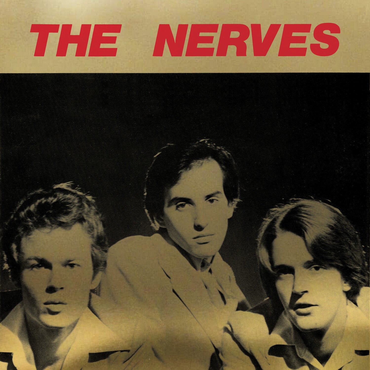 The Nerves - Best Collection album cover
