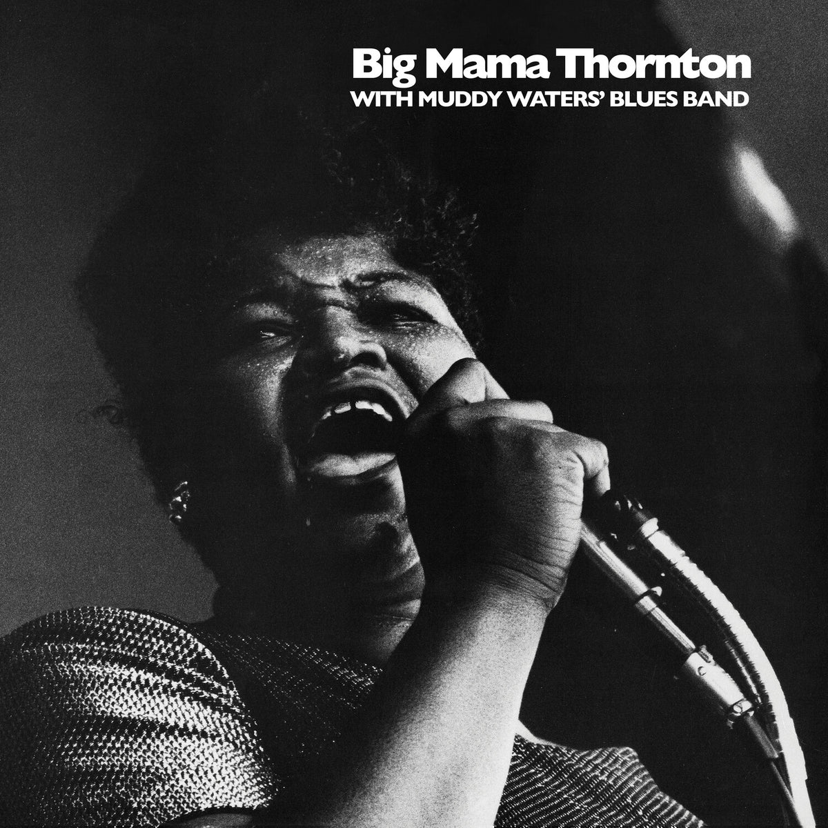 Big Mama Thornton with Muddy Waters' Blues Band