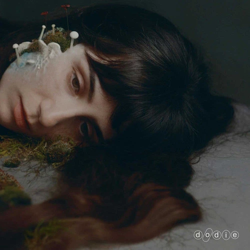 dodie - Not For Lack Of Trying - LP