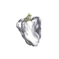 Ween - White Pepper (Limited Edition) - LP
