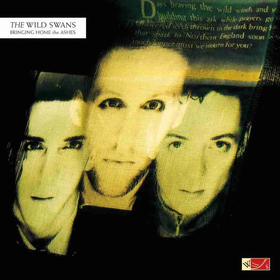 The Wild Swans - Bringing Home The Ashes (Limited Edition) - Music On Vinyl LP