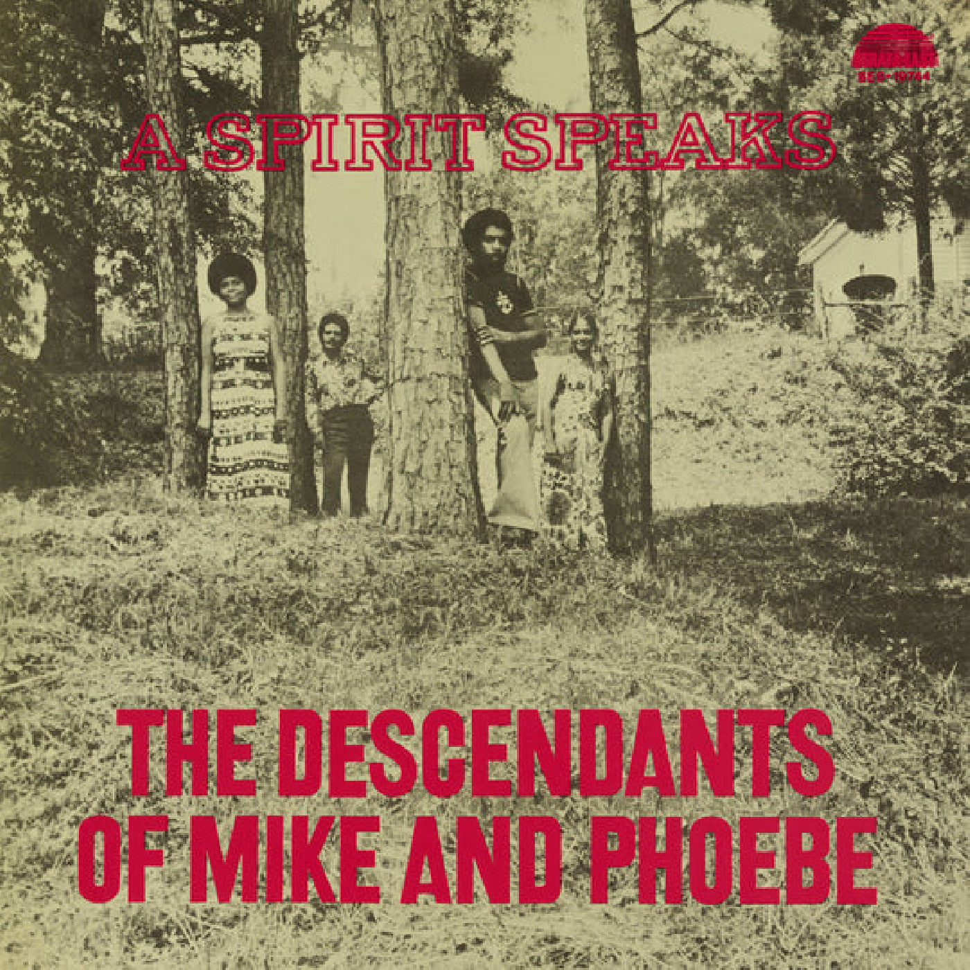 Bill Lee (The Descendants of Mike and Phoebe) - A Spirit Speaks - RSD LP