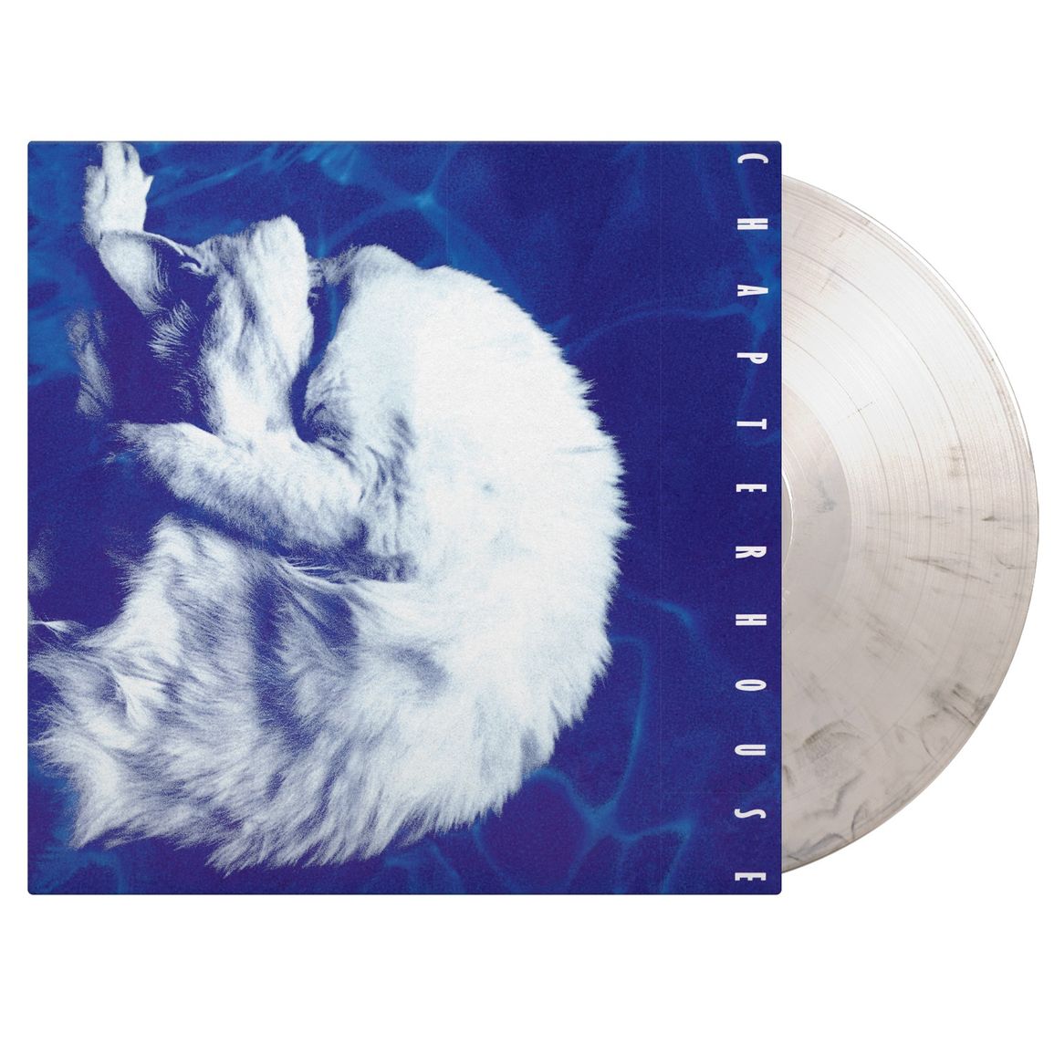 Chapterhouse - Whirlpool - Music On Vinyl LP | The 'In' Groove