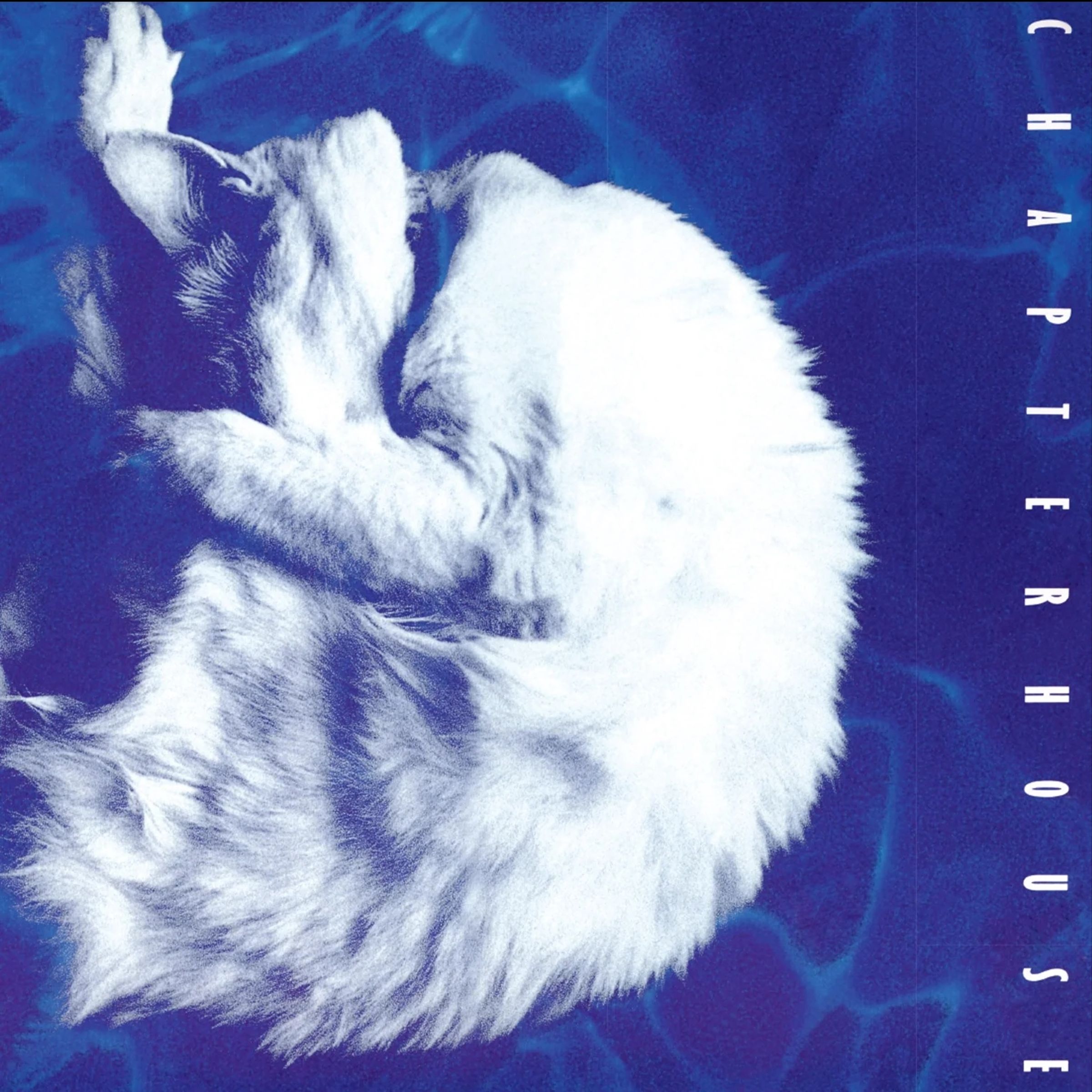Chapterhouse – Whirlpool レコード Chapterhouse - Whirlpool - Music On Vinyl LP | The 'In' Groove